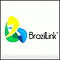 The Brazil Link Ltd 1 The Brazil Link Ltd 1