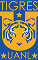 tigres 1